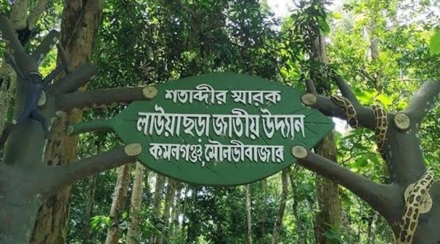 লাউয়াছড়া জাতীয় উদ্যান: প্রকৃতিপ্রেমীদের এক অপার স্বর্গ